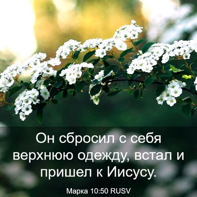 Picture 03 - Марка 10:50 RUSV - Он сбросил с себя верхнюю - Bible Verse Picture