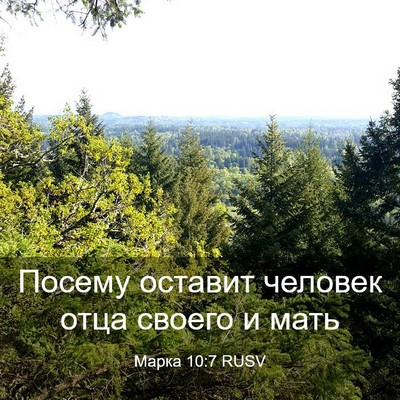 Picture 03 - Марка 10:7 RUSV - Посему оставит человек - Bible Verse Picture