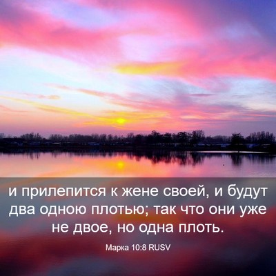 Picture 03 - Марка 10:8 RUSV - и прилепится к жене своей, - Bible Verse Picture