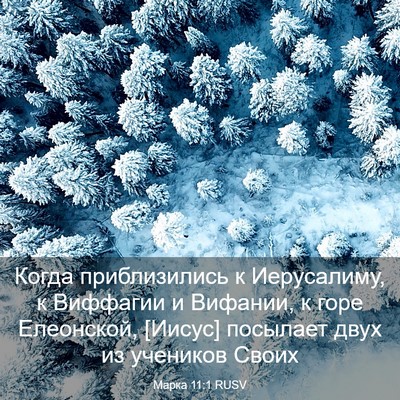 Picture 03 - Марка 11:1 RUSV - Когда приблизились к - Bible Verse Picture