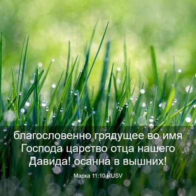 Picture 03 - Марка 11:10 RUSV - благословенно грядущее во - Bible Verse Picture