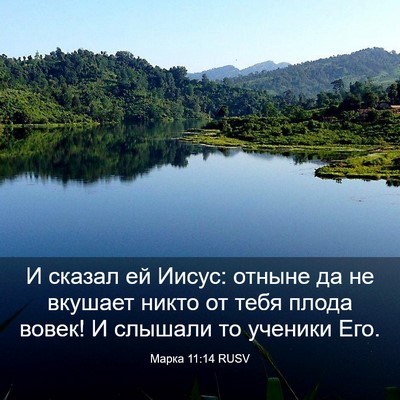 Picture 03 - Марка 11:14 RUSV - И сказал ей Иисус: отныне - Bible Verse Picture