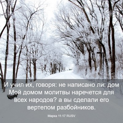 Picture 03 - Марка 11:17 RUSV - И учил их, говоря: не - Bible Verse Picture