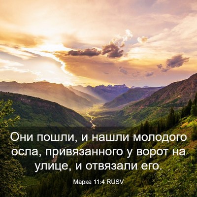 Picture 03 - Марка 11:4 RUSV - Они пошли, и нашли молодого - Bible Verse Picture
