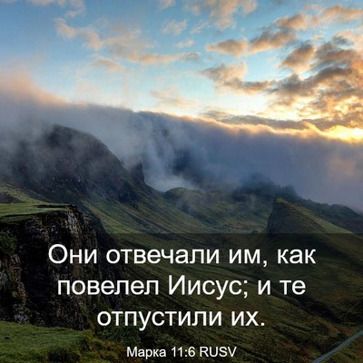 Picture 03 - Марка 11:6 RUSV - Они отвечали им, как - Bible Verse Picture
