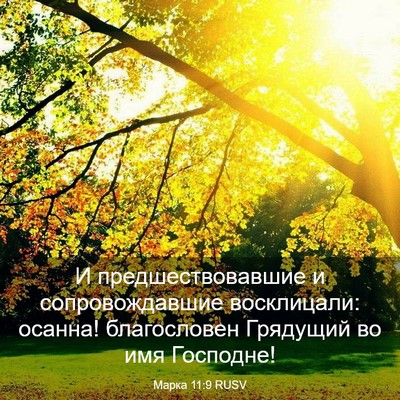 Picture 03 - Марка 11:9 RUSV - И предшествовавшие и - Bible Verse Picture