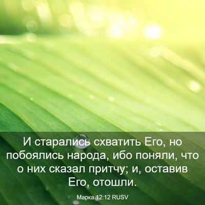Picture 03 - Марка 12:12 RUSV - И старались схватить Его, - Bible Verse Picture