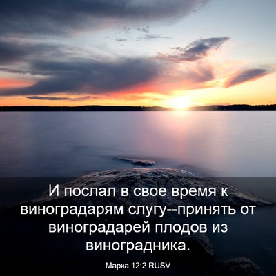 Picture 03 - Марка 12:2 RUSV - И послал в свое время к - Bible Verse Picture