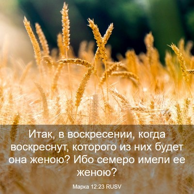 Picture 03 - Марка 12:23 RUSV - Итак, в воскресении, когда - Bible Verse Picture
