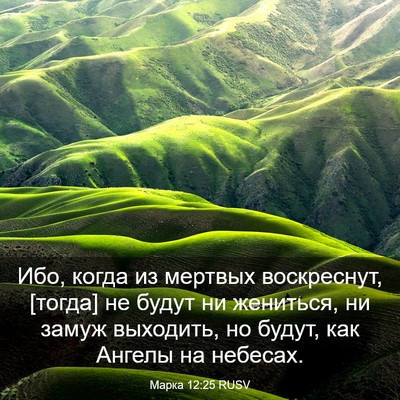 Picture 03 - Марка 12:25 RUSV - Ибо, когда из мертвых - Bible Verse Picture