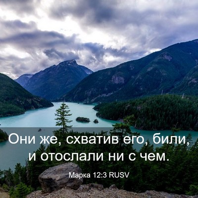 Picture 03 - Марка 12:3 RUSV - Они же, схватив его, били, и - Bible Verse Picture