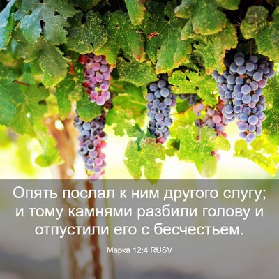 Picture 03 - Марка 12:4 RUSV - Опять послал к ним другого - Bible Verse Picture