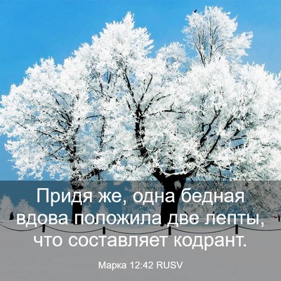 Picture 03 - Марка 12:42 RUSV - Придя же, одна бедная вдова - Bible Verse Picture