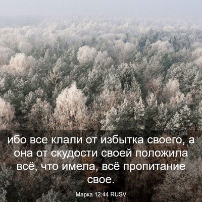 Picture 03 - Марка 12:44 RUSV - ибо все клали от избытка - Bible Verse Picture