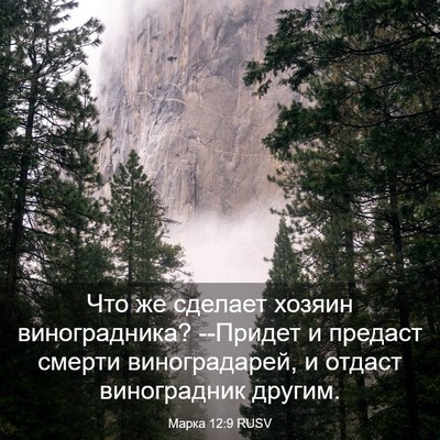 Picture 03 - Марка 12:9 RUSV - Что же сделает хозяин - Bible Verse Picture