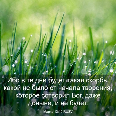 Picture 03 - Марка 13:19 RUSV - Ибо в те дни будет такая - Bible Verse Picture