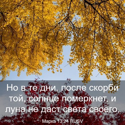 Picture 03 - Марка 13:24 RUSV - Но в те дни, после скорби - Bible Verse Picture