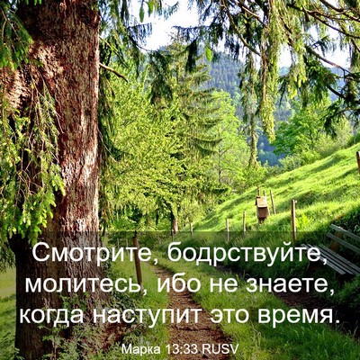 Picture 03 - Марка 13:33 RUSV - Смотрите, бодрствуйте, - Bible Verse Picture