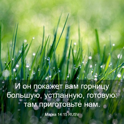 Picture 03 - Марка 14:15 RUSV - И он покажет вам горницу - Bible Verse Picture