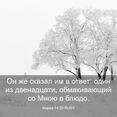 Picture 03 - Марка 14:20 RUSV - Он же сказал им в ответ: - Bible Verse Picture