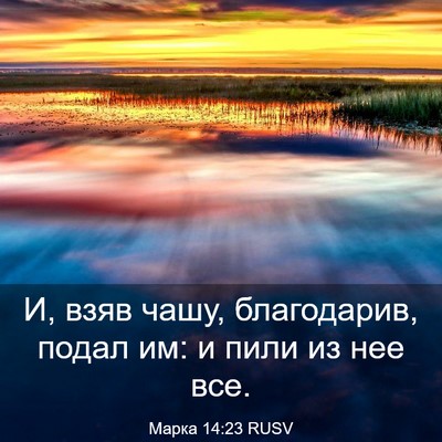 Picture 03 - Марка 14:23 RUSV - И, взяв чашу, благодарив, - Bible Verse Picture