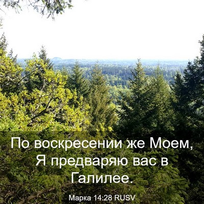 Picture 03 - Марка 14:28 RUSV - По воскресении же Моем, Я - Bible Verse Picture