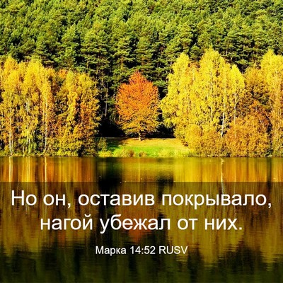 Picture 03 - Марка 14:52 RUSV - Но он, оставив покрывало, - Bible Verse Picture