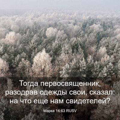 Picture 03 - Марка 14:63 RUSV - Тогда первосвященник, - Bible Verse Picture