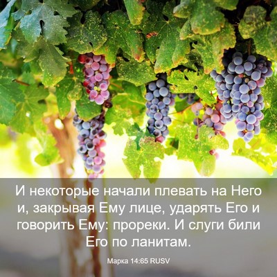 Picture 03 - Марка 14:65 RUSV - И некоторые начали плевать - Bible Verse Picture