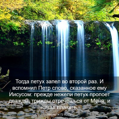 Picture 03 - Марка 14:72 RUSV - Тогда петух запел во - Bible Verse Picture