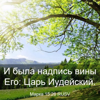 Picture 03 - Марка 15:26 RUSV - И была надпись вины Его: - Bible Verse Picture