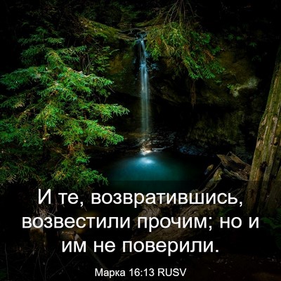 Picture 03 - Марка 16:13 RUSV - И те, возвратившись, - Bible Verse Picture