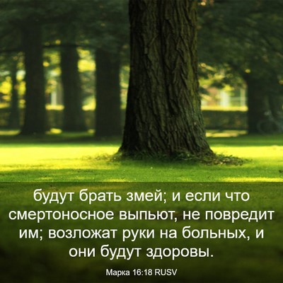 Picture 03 - Марка 16:18 RUSV - будут брать змей; и если - Bible Verse Picture