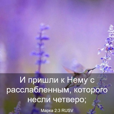 Picture 03 - Марка 2:3 RUSV - И пришли к Нему с - Bible Verse Picture