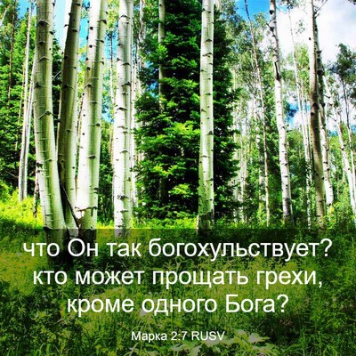 Picture 03 - Марка 2:7 RUSV - что Он так богохульствует? - Bible Verse Picture