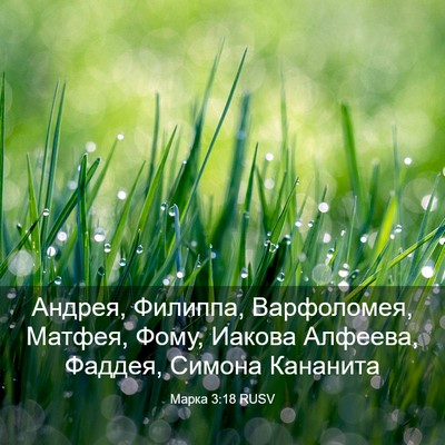 Picture 03 - Марка 3:18 RUSV - Андрея, Филиппа, - Bible Verse Picture