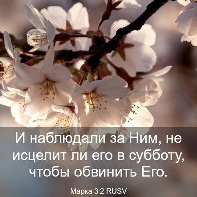 Picture 03 - Марка 3:2 RUSV - И наблюдали за Ним, не - Bible Verse Picture