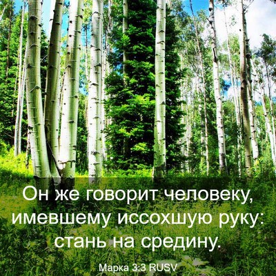 Picture 03 - Марка 3:3 RUSV - Он же говорит человеку, - Bible Verse Picture