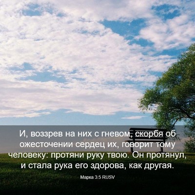 Picture 03 - Марка 3:5 RUSV - И, воззрев на них с гневом, - Bible Verse Picture