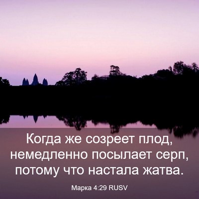 Picture 03 - Марка 4:29 RUSV - Когда же созреет плод, - Bible Verse Picture