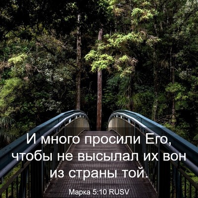 Picture 03 - Марка 5:10 RUSV - И много просили Его, чтобы - Bible Verse Picture