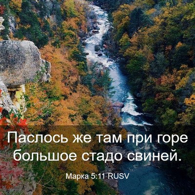 Picture 03 - Марка 5:11 RUSV - Паслось же там при горе - Bible Verse Picture