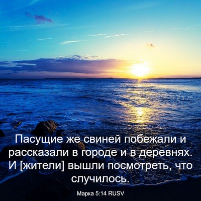 Picture 03 - Марка 5:14 RUSV - Пасущие же свиней побежали - Bible Verse Picture