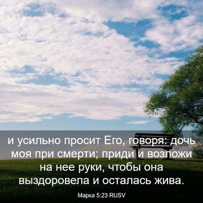 Picture 03 - Марка 5:23 RUSV - и усильно просит Его, - Bible Verse Picture