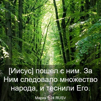 Picture 03 - Марка 5:24 RUSV - [Иисус] пошел с ним. За Ним - Bible Verse Picture