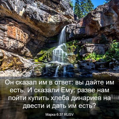 Picture 03 - Марка 6:37 RUSV - Он сказал им в ответ: вы - Bible Verse Picture