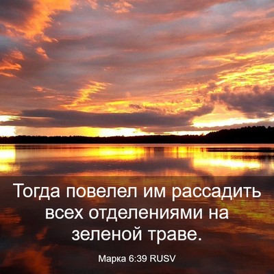 Picture 03 - Марка 6:39 RUSV - Тогда повелел им рассадить - Bible Verse Picture