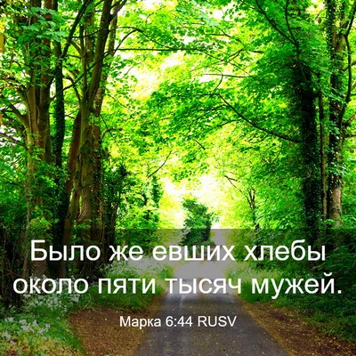 Picture 03 - Марка 6:44 RUSV - Было же евших хлебы около - Bible Verse Picture