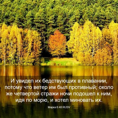 Picture 03 - Марка 6:48 RUSV - И увидел их бедствующих в - Bible Verse Picture