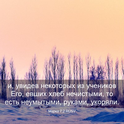 Picture 03 - Марка 7:2 RUSV - и, увидев некоторых из - Bible Verse Picture